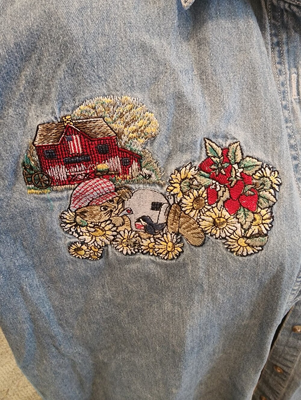 Vintage Cotragecore Country Kitten Denim Embroidered Short-Sleeve Shirt